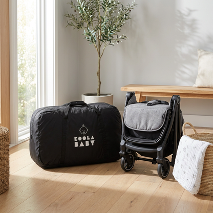 Carry bag